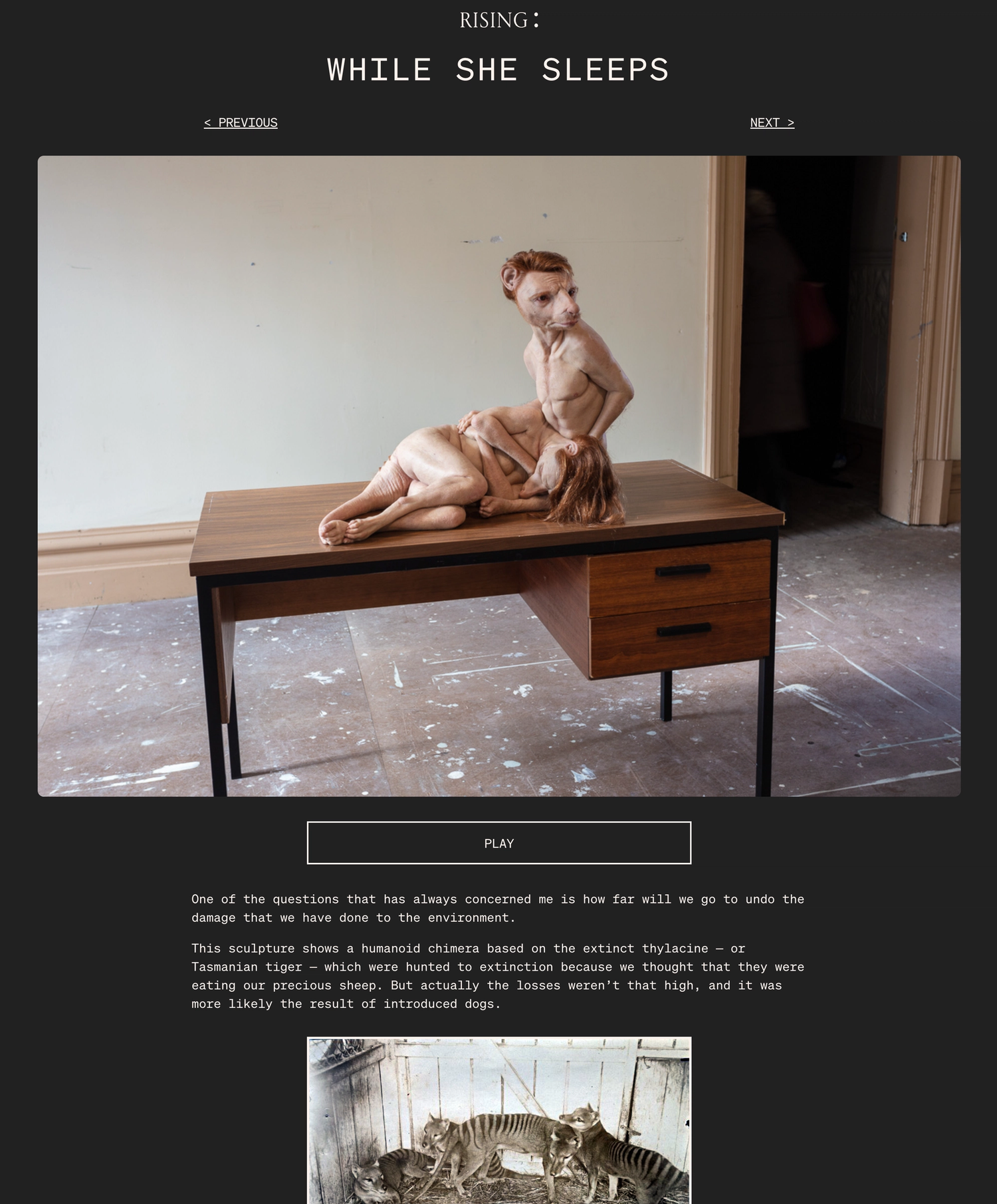 Patricia Piccinini